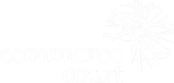 Commerce Court